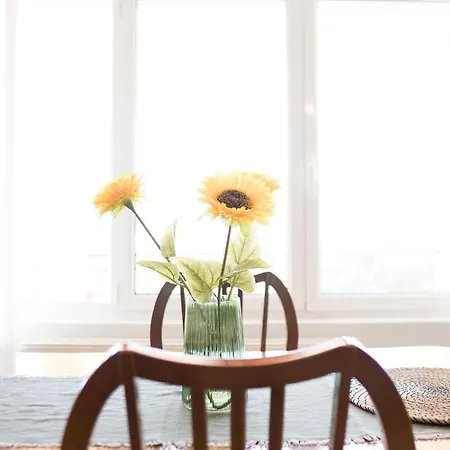 Raptis Tsilivi (Zakynthos)